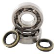 Hot Rods 05-08 Suzuki RM 250 250cc Main Bearing & Seal Kit For Cheap