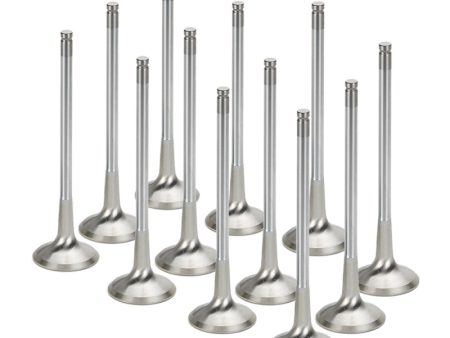 Supertech BMW N54 28mm (STD) Inconel Exhaust Valve - Set of 12 (Use w  locks KPR-6S 7) For Discount